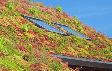 Foxley living roof systems