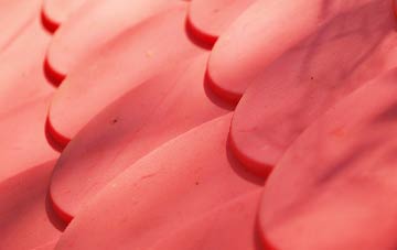 Foxley plastic roof costs