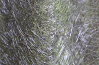 Foxley fibreglass roof work